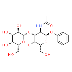 phenyl 2-acetamido-2-deoxy-3-O-beta-D-galactopyranosyl-alpha-D-galactopyranoside structure