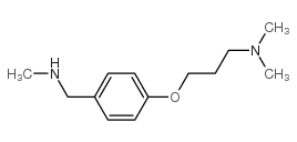 N,N-dimethyl-3-[4-(methylaminomethyl)phenoxy]propan-1-amine structure