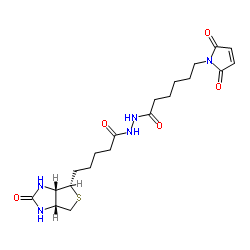 生物素-马来酰亚胺图片