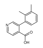 3-(2,3-dimethylphenyl)pyridine-4-carboxylic acid Structure