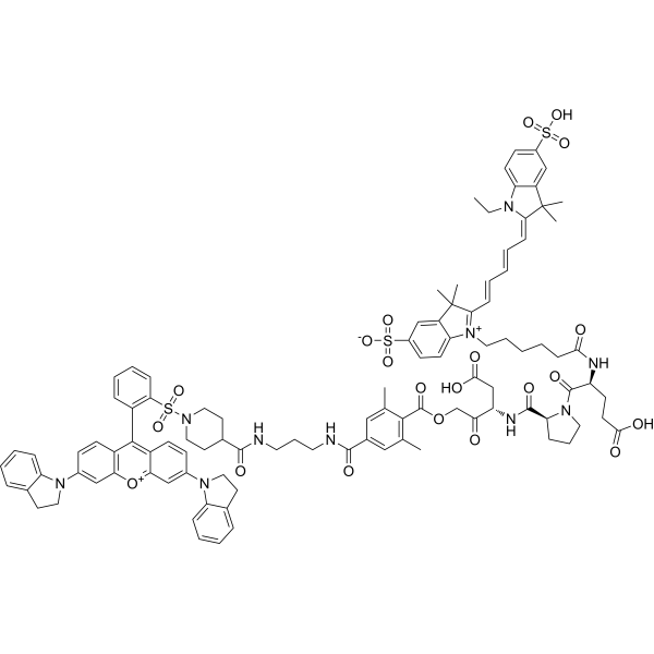 LE 28 Structure