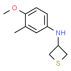 N-(4-methoxy-3-methylphenyl)thietan-3-amine Structure