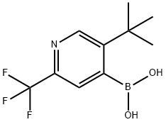 5-(tert-butyl)-2-trifluoromethylpyridine-4-boronic acid picture