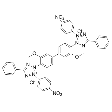 NBT Structure