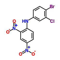 N-(4-Bromo-3-chlorophenyl)-2,4-dinitroaniline结构式