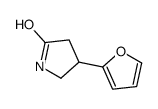 4-(furan-2-yl)pyrrolidin-2-one图片