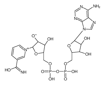 108646-17-9 structure