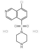 1-(8-chloro-5-isoquinolinesulfonyl)piperazine, dihydrochloride结构式