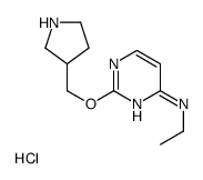 N-ethyl-2-(pyrrolidin-3-ylmethoxy)pyrimidin-4-amine,hydrochloride结构式