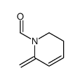 1(2H)-Pyridinecarboxaldehyde,5,6-dihydro-2-methylene-(9CI) structure