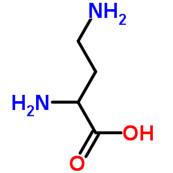 305-62-4 structure