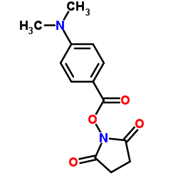 4-(二甲胺基)苯甲酸 N-羟基琥珀酰亚胺酯结构式