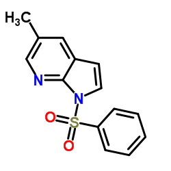 5-methyl-1-(phenylsulfonyl)-1H-Pyrrolo[2,3-b]pyridine picture