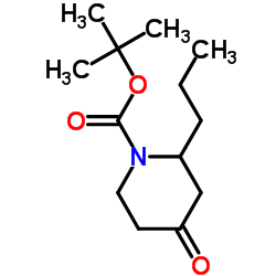 1-BOC-2-PROPYLPIPERIDIN-4-ONE Structure