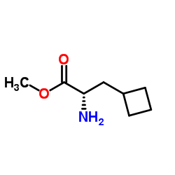 Methyl 3-cyclobutyl-L-alaninate图片