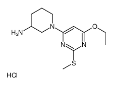 1-(6-Ethoxy-2-Methylsulfanyl-pyrimidin-4-yl)-piperidin-3-ylamine hydrochloride结构式