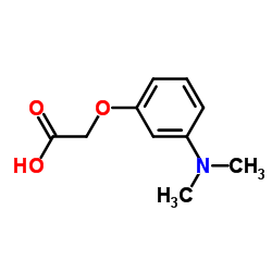 [3-(Dimethylamino)phenoxy]acetic acid structure