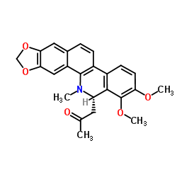 6-乙酰甲基白屈菜红碱图片