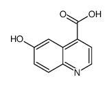 6-Hydroxy-4-quinolinecarboxylic acid picture