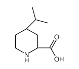 2-Piperidinecarboxylicacid,4-(1-methylethyl)-,(2S,4S)-(9CI)结构式