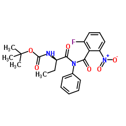 2-Methyl-2-propanyl {(2R)-1-[(2-fluoro-6-nitrobenzoyl)(phenyl)amino]-1-oxo-2-butanyl}carbamate结构式