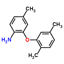 2-(2,5-Dimethylphenoxy)-4-methylaniline结构式