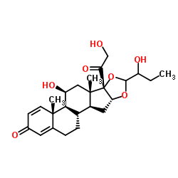 23-羟基布地奈德结构式