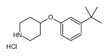 4-(3-叔丁基-苯氧基)-哌啶盐酸盐结构式