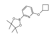 2-(环丁基氧基)-6-(4,4,5,5-四甲基-1,3,2-二噁硼烷-2-基)吡啶结构式