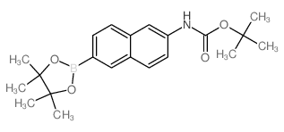 tert-butyl 6-(4,4,5,5-tetraMethyl-1,3,2-dioxaborolan-2-yl)naphthalen-2-ylcarbaMate structure