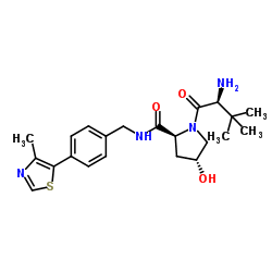 PROTAC-VHL-ligand picture