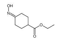 ethyl 4-hydroxyiminocyclohexane-1-carboxylate picture