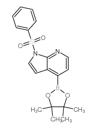 942919-24-6结构式