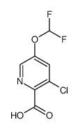 3-Chloro-5-difluoroMethoxy-pyridine-2-carboxylic acid结构式