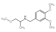 (3,4-DIMETHOXY-BENZYL)-(2-METHOXY-1-METHYL-ETHYL)-AMINE图片