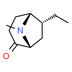 8-Azabicyclo[3.2.1]octan-2-one,6-ethyl-8-methyl-,(1R,5R,6R)-rel-(9CI)结构式