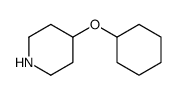 4-cyclohexyloxypiperidine结构式