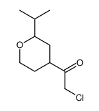 Ethanone, 2-chloro-1-[tetrahydro-2-(1-methylethyl)-2H-pyran-4-yl]- (9CI) Structure