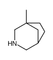 5-methyl-3-azabicyclo[3.2.1]octane Structure