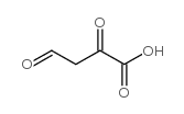 1069-50-7 structure