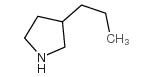 3-丙基吡咯烷图片