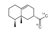 (4S,4aR,6S)-4,4a-dimethyl-6-(prop-1-en-2-yl-1,3-14C2)-1,2,3,4,4a,5,6,7-octahydronaphthalene结构式