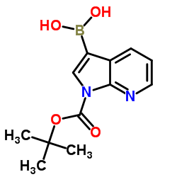 (1-(叔丁氧羰基)-1H-吡咯并[2,3-b]吡啶-3-基)硼酸图片