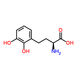 372510-81-1 structure