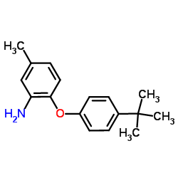 5-Methyl-2-[4-(2-methyl-2-propanyl)phenoxy]aniline Structure