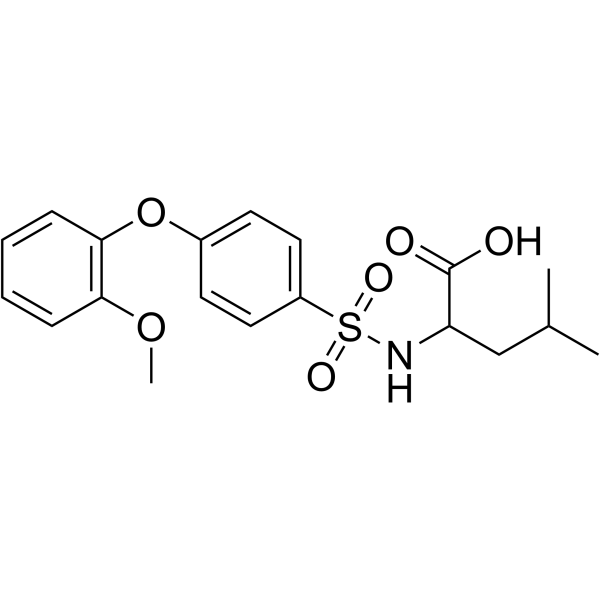 LEUCINE, N-[[4-(2-METHOXYPHENOXY)PHENYL]SULFONYL]- structure