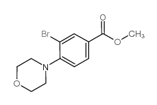 1131622-56-4 structure