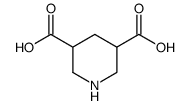 piperidine-3,5-Dicarboxylic Acid Structure