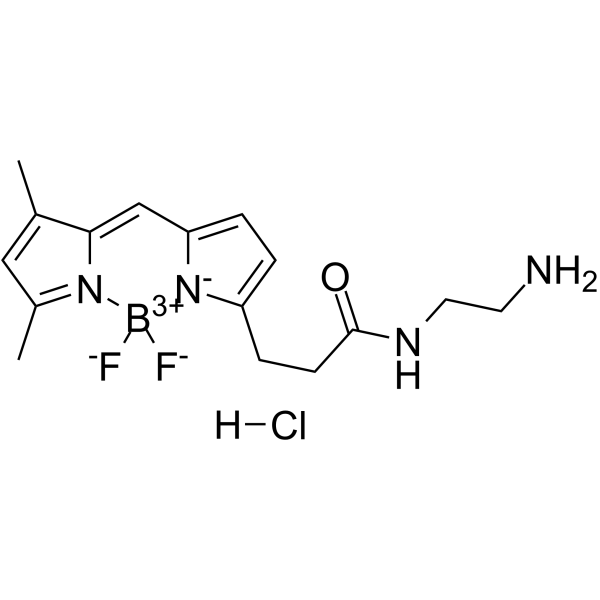 BODIPY FL-EDA Structure