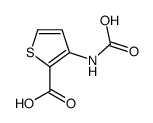 2-Thiophenecarboxylicacid,3-(carboxyamino)-(9CI)结构式